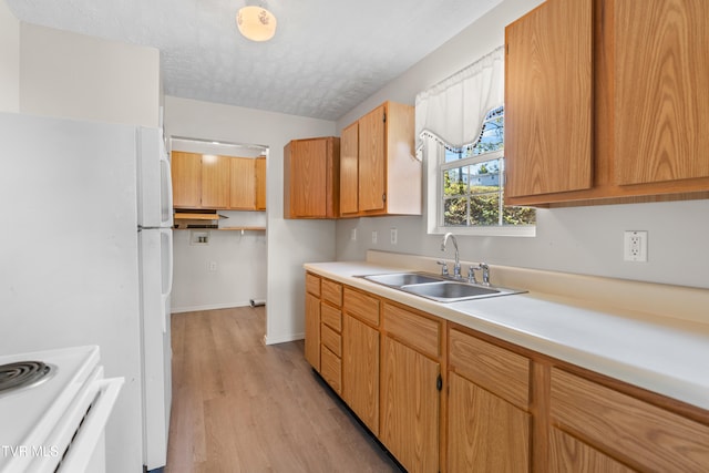 kitchen featuring sink, white appliances, a textured ceiling, and light wood-type flooring