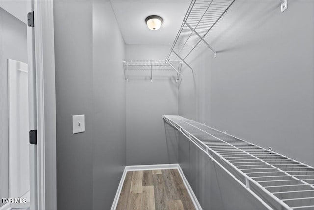 spacious closet featuring wood-type flooring