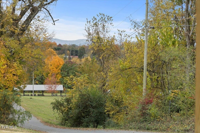 view of mountain feature