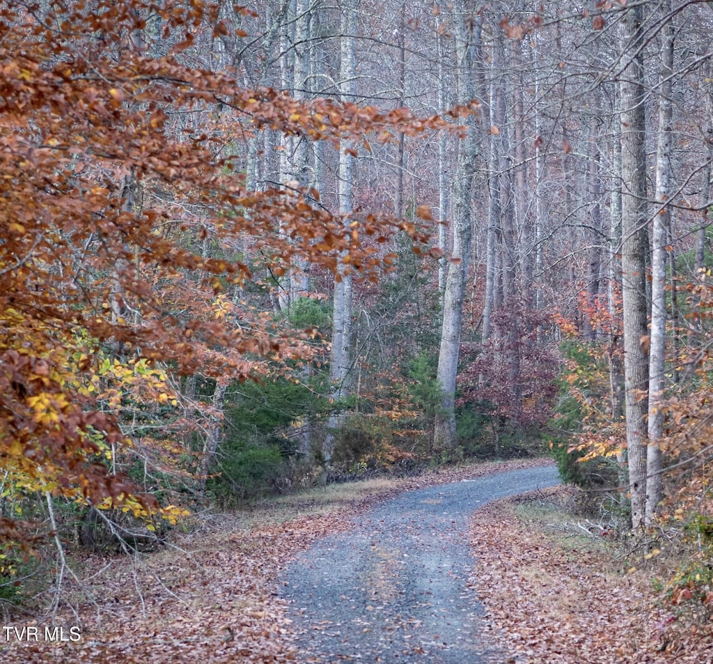 TBD Fire Station Rd, Elizabethton, TN 37643 - photo 1