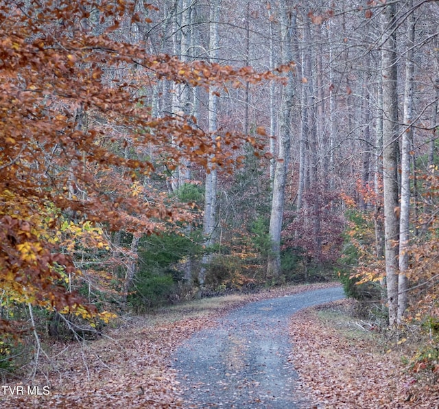 TBD Fire Station Rd, Elizabethton, TN 37643 - photo 1