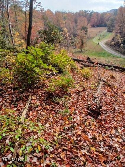 TBD Fire Station Rd, Elizabethton, TN 37643 - photo 2