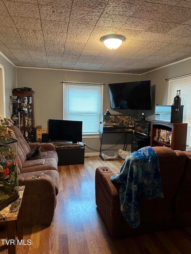 living room featuring ornamental molding and hardwood / wood-style flooring