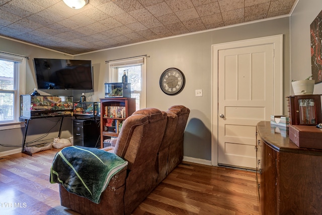 living room with crown molding, a healthy amount of sunlight, and hardwood / wood-style flooring