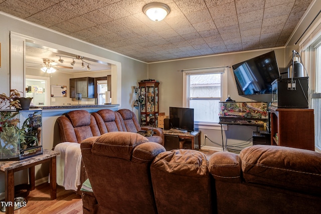 living room featuring ornamental molding, light hardwood / wood-style flooring, and ceiling fan