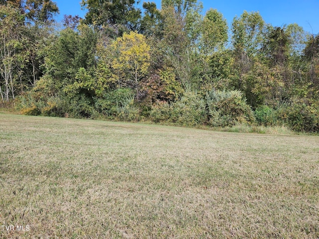 5037 Serenity Dr, Mooresburg TN, 37811 land for sale