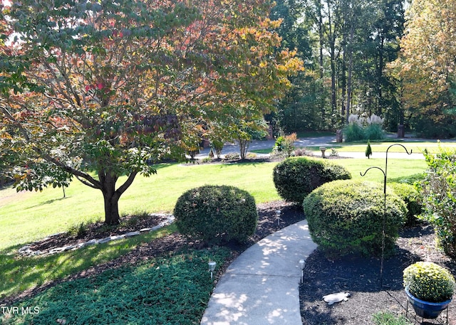 105 Mountain River Dr, Greeneville, TN 37743 - photo 93