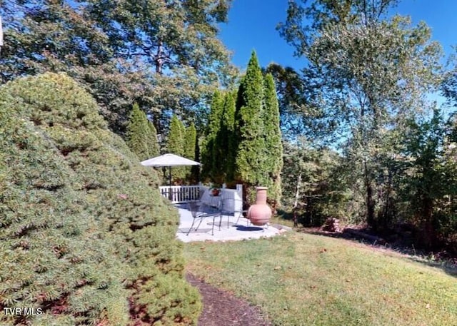 105 Mountain River Dr, Greeneville, TN 37743 - photo 94