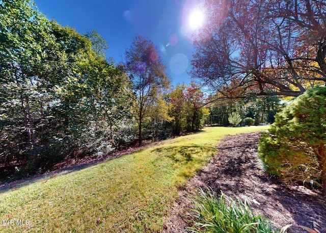 105 Mountain River Dr, Greeneville, TN 37743 - photo 99