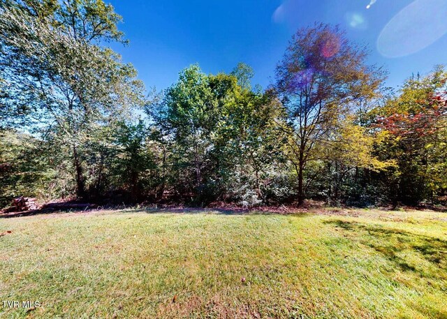 105 Mountain River Dr, Greeneville, TN 37743 - photo 100