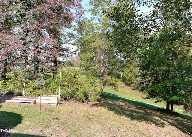 105 Mountain River Dr, Greeneville, TN 37743 - photo 101