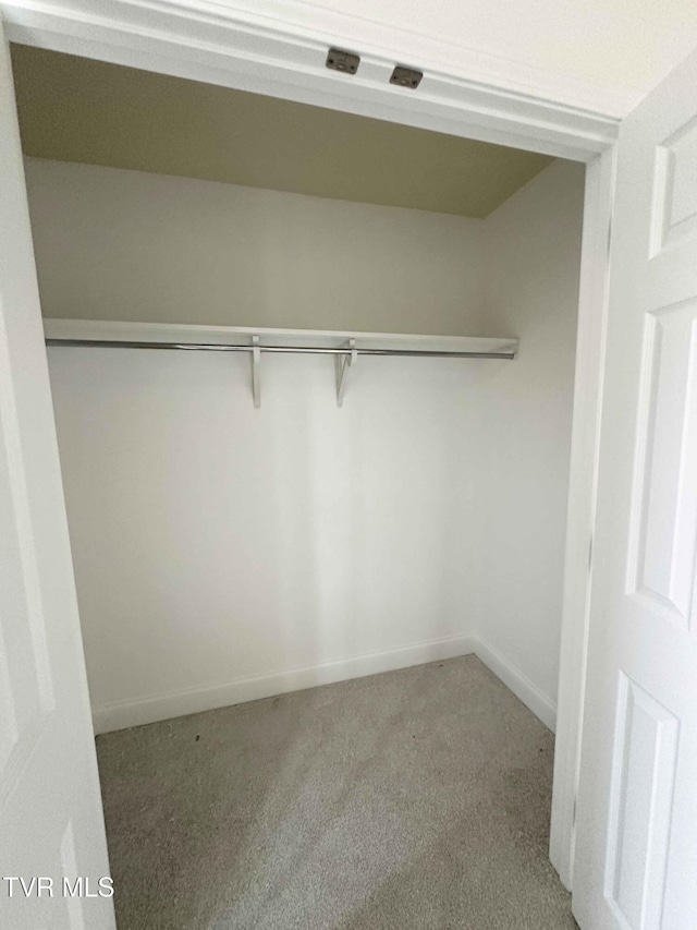 view of closet