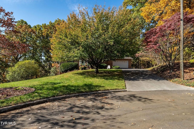 view of property hidden behind natural elements with a garage and a front lawn