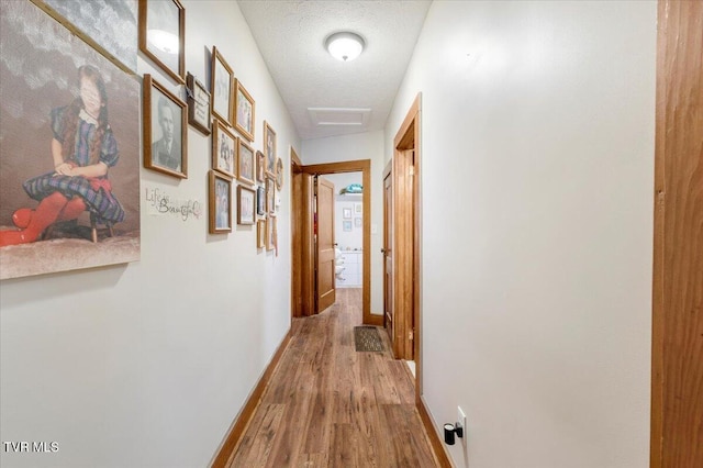 corridor with wood-type flooring and a textured ceiling