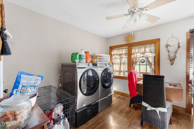 clothes washing area with ceiling fan, independent washer and dryer, and wood-type flooring