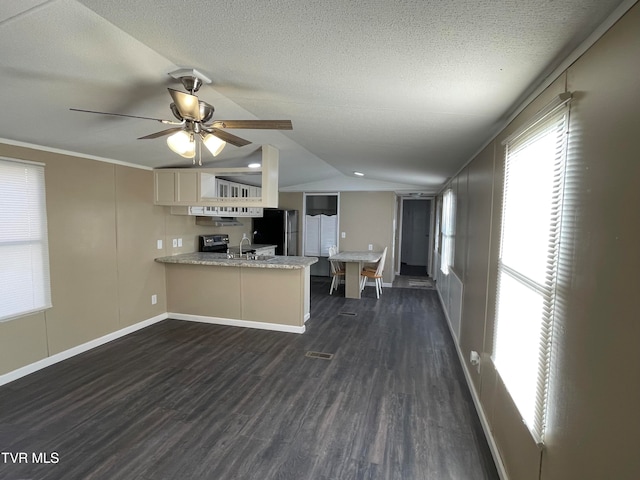 kitchen with dark hardwood / wood-style flooring, kitchen peninsula, ceiling fan, stainless steel appliances, and vaulted ceiling