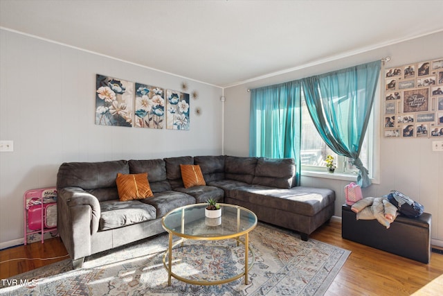 living room featuring crown molding and hardwood / wood-style floors