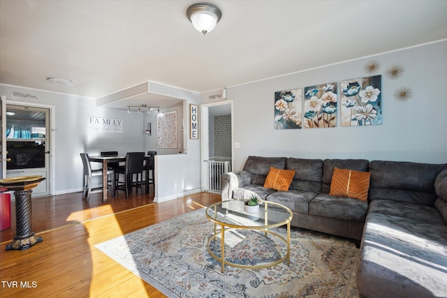 living room featuring dark hardwood / wood-style floors