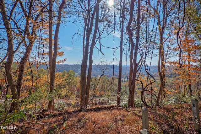 view of mountain feature