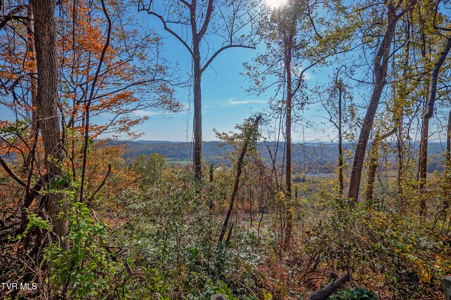 view of mountain feature