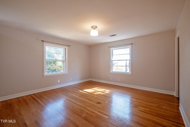 empty room featuring wood-type flooring and a healthy amount of sunlight