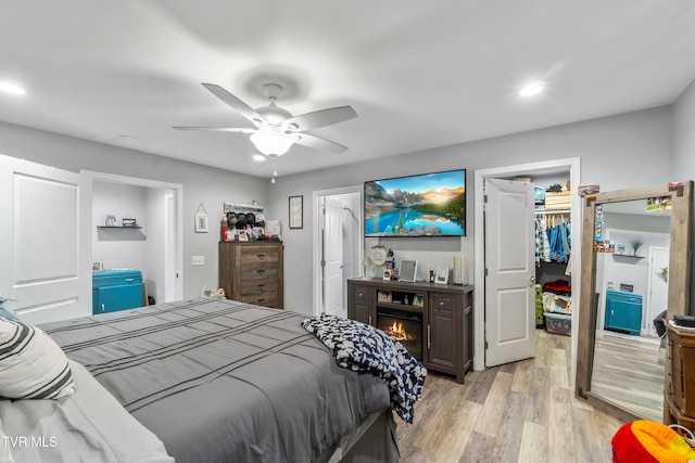 bedroom featuring a walk in closet, a closet, light wood-type flooring, and ceiling fan