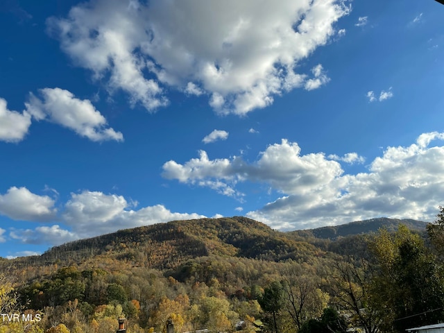 view of mountain feature