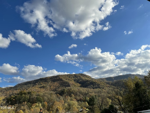 property view of mountains with a wooded view