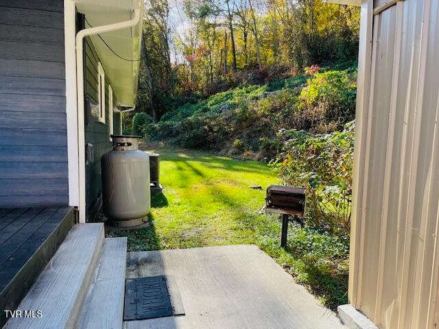 view of yard featuring a patio area