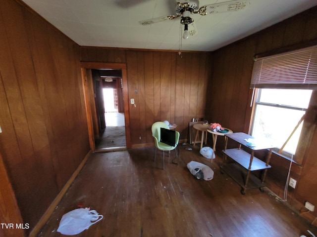 miscellaneous room featuring hardwood / wood-style flooring, a healthy amount of sunlight, and wooden walls