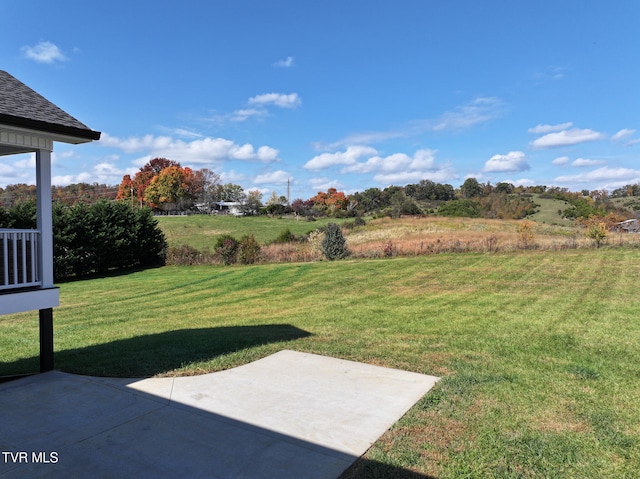 view of yard with a patio