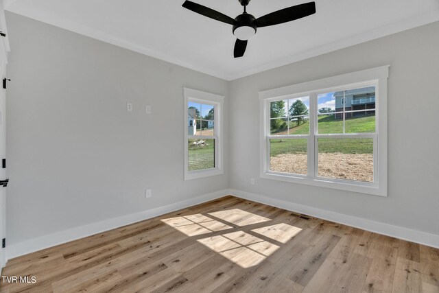 633 Uncle Buddys Way, Jonesborough, TN 37659 - empty room with light wood finished floors, baseboards, and a ceiling fan