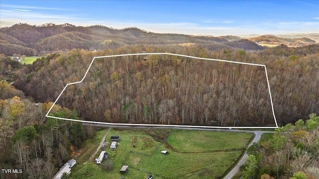 Tbd Morrell Creek Road, Bluff City TN, 37618 land for sale