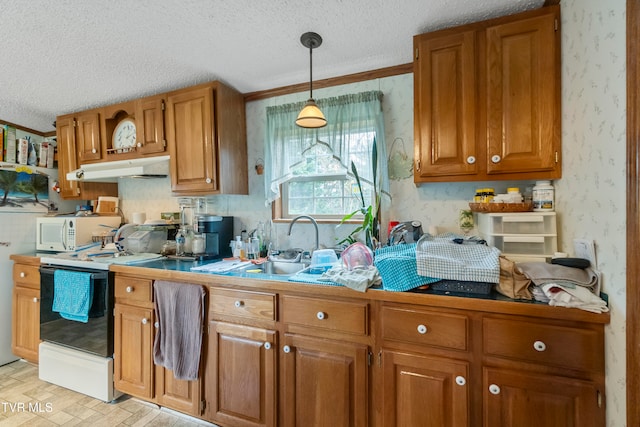 kitchen with sink, a textured ceiling, light hardwood / wood-style floors, pendant lighting, and ornamental molding