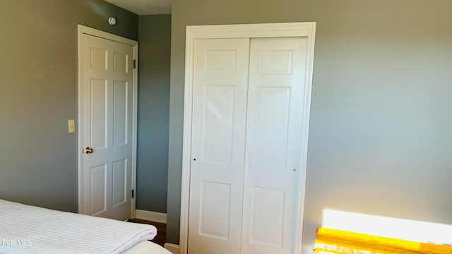 bedroom featuring a closet