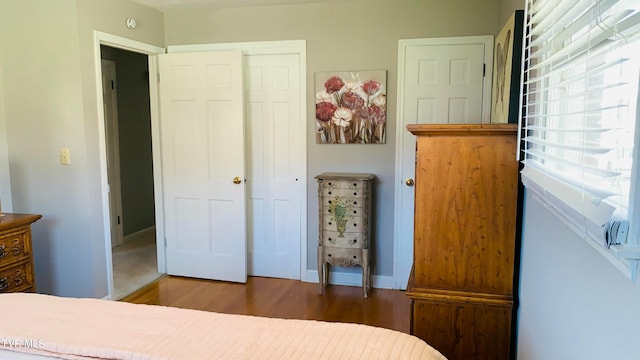 bedroom featuring wood-type flooring and a closet