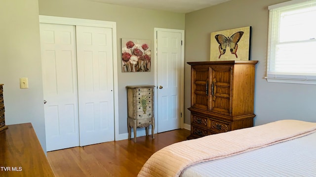 bedroom with wood-type flooring and a closet