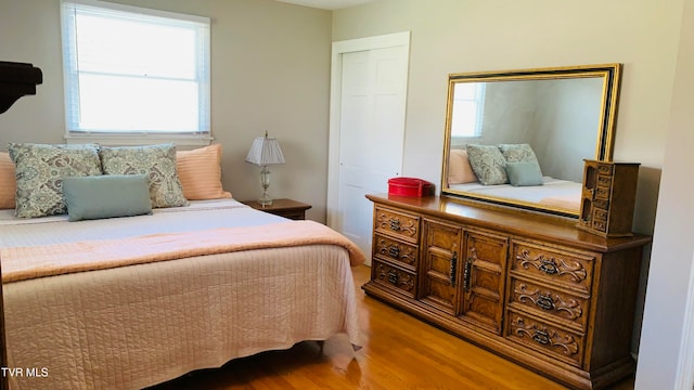 bedroom with a closet and hardwood / wood-style flooring