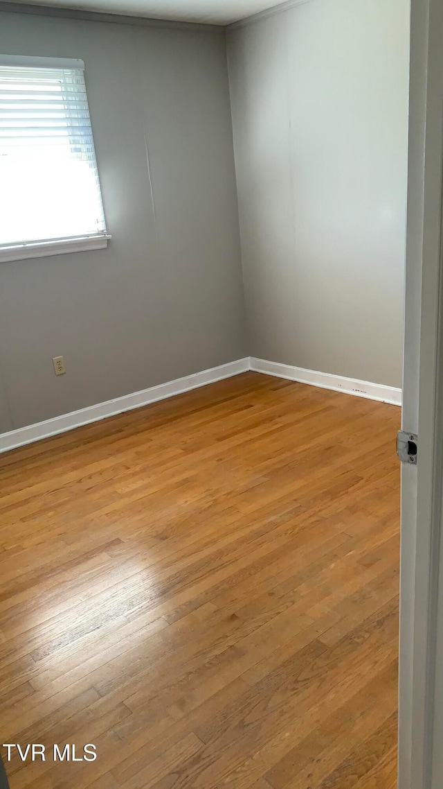 empty room featuring light wood-type flooring