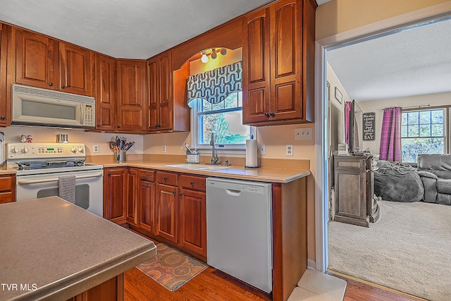 kitchen with hardwood / wood-style floors, sink, plenty of natural light, and white appliances