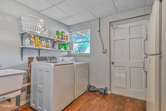 laundry area with wood walls, sink, washer and clothes dryer, and dark hardwood / wood-style flooring