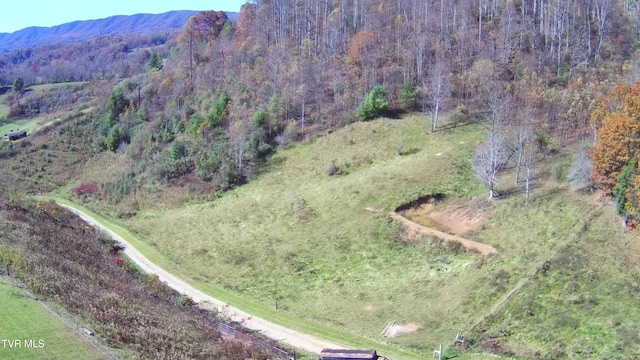 aerial view with a mountain view