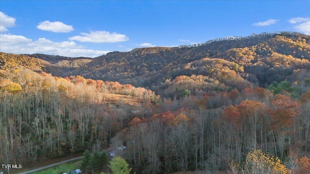 property view of mountains