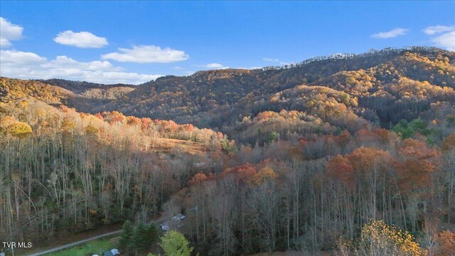 452 Ray Simerly Rd, Hampton, TN 37658 - photo 24