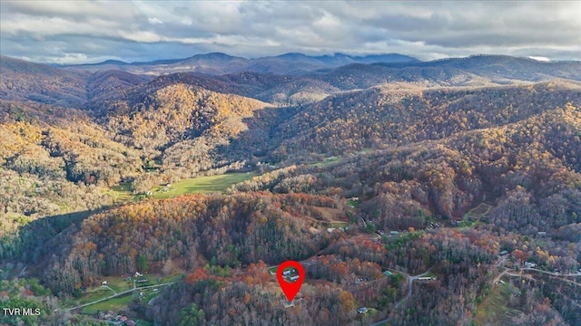 452 Ray Simerly Rd, Hampton, TN 37658 - photo 30