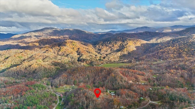 452 Ray Simerly Rd, Hampton, TN 37658 - photo 31