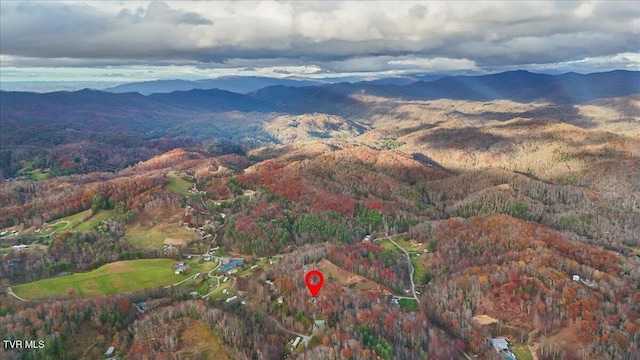 property view of mountains