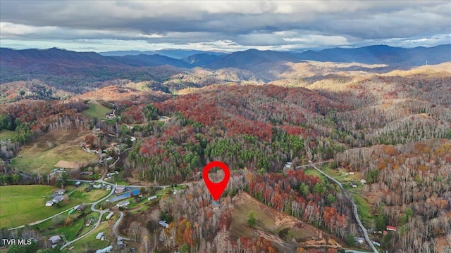 drone / aerial view with a mountain view