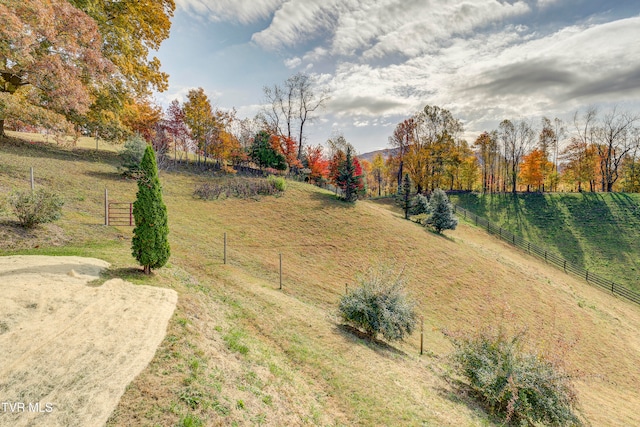 view of yard featuring a rural view