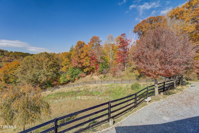 view of yard featuring a rural view